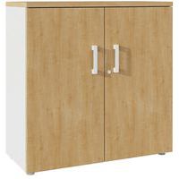 Aktenschrank mit Flügeltüren - Höhe 73 cm