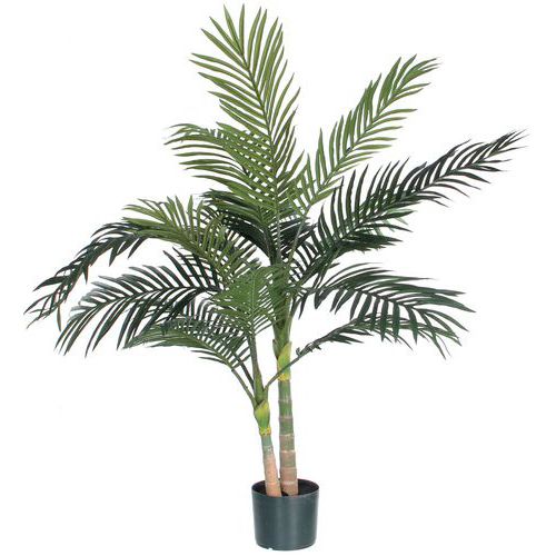 Palme Areca Golden Cane 120 cm - Vepabins